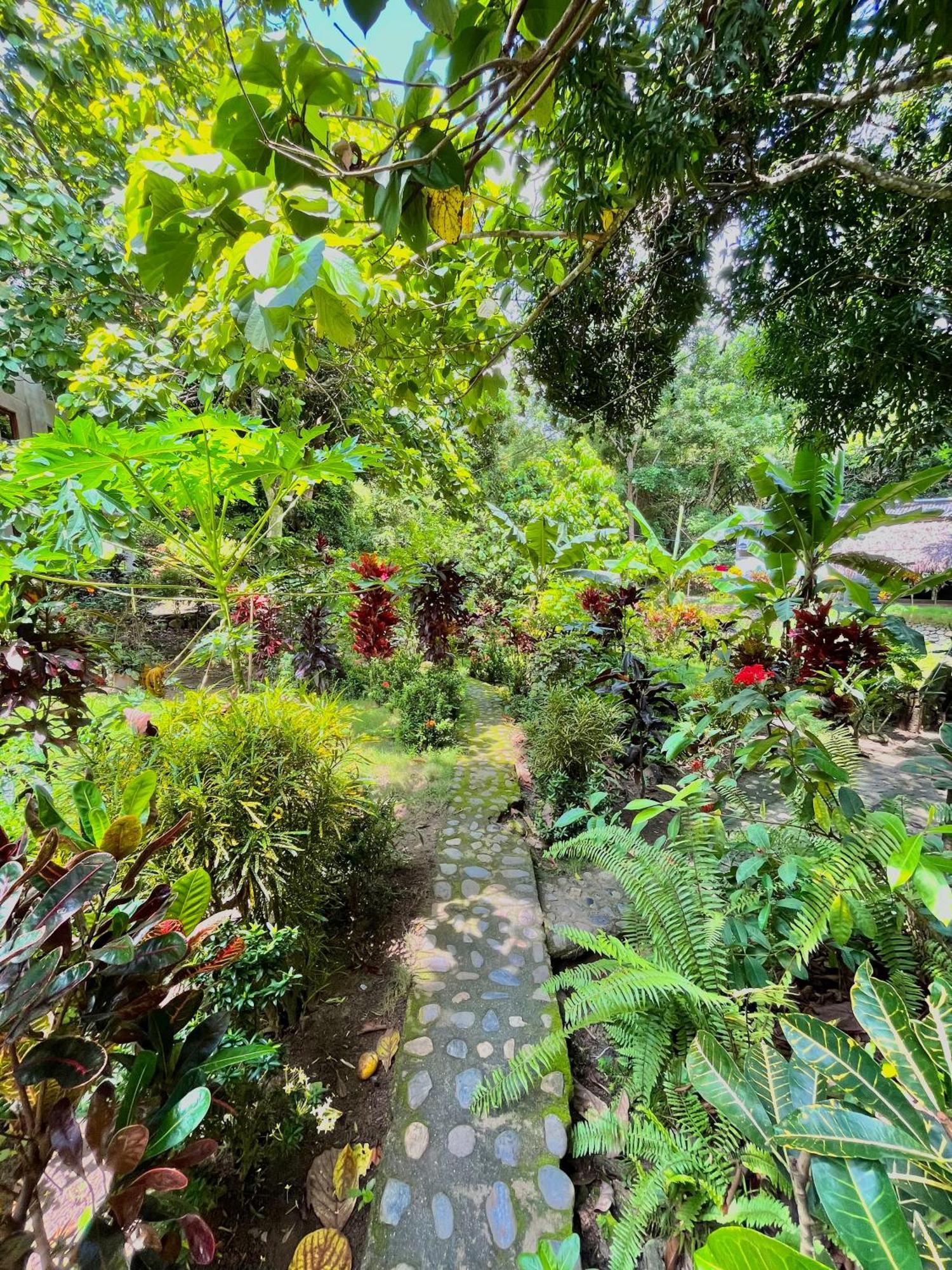Santuario Tayrona Hostel Calabazo  Ngoại thất bức ảnh