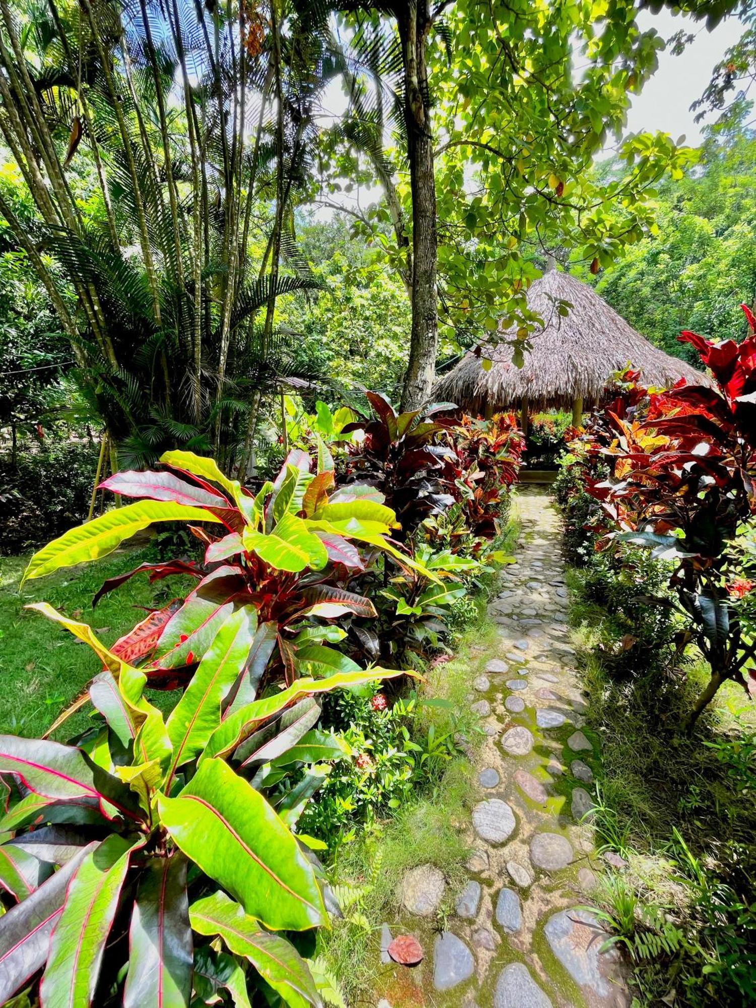 Santuario Tayrona Hostel Calabazo  Ngoại thất bức ảnh