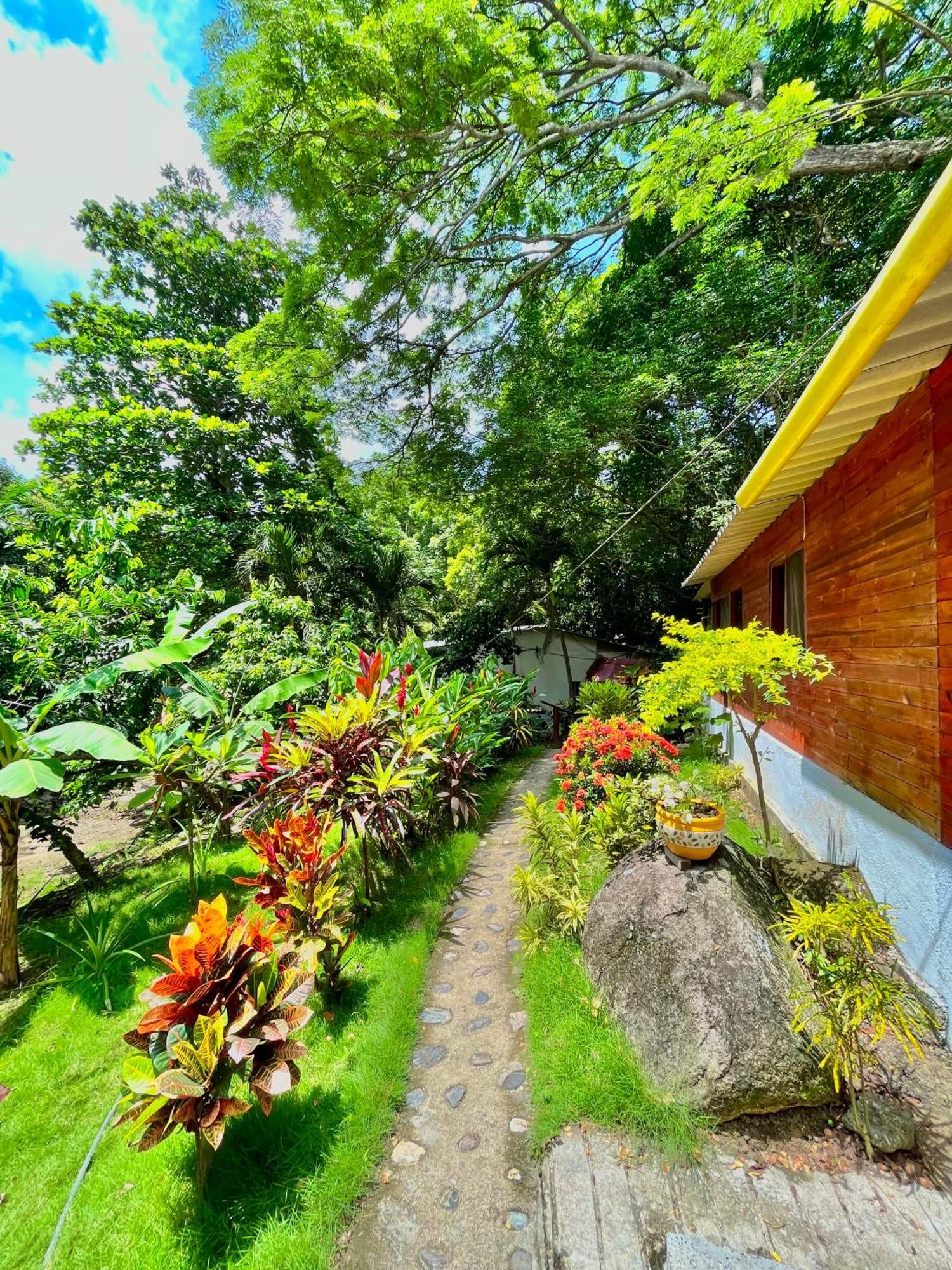 Santuario Tayrona Hostel Calabazo  Ngoại thất bức ảnh